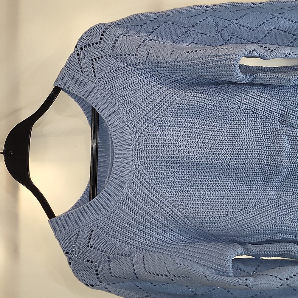 Cozy Light Blue Pullover Sweater (L)